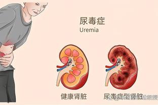 开云官网网页版登录入口截图0